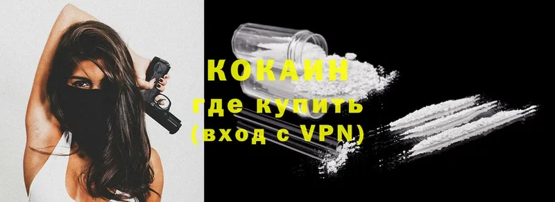 Cocaine FishScale  купить  сайты  Новотроицк 