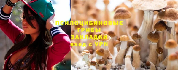 бошки Тольятти