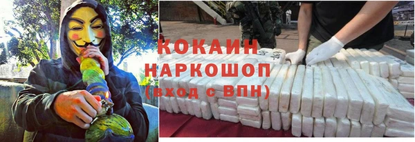 стафф Козельск