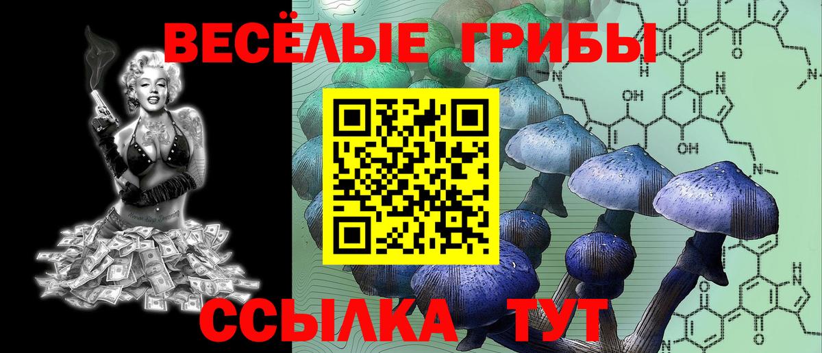 НБОМе  Cocaine  Вход с VPN  Новотроицк  Меф кристаллы  Кетамин  ГАШИШ 