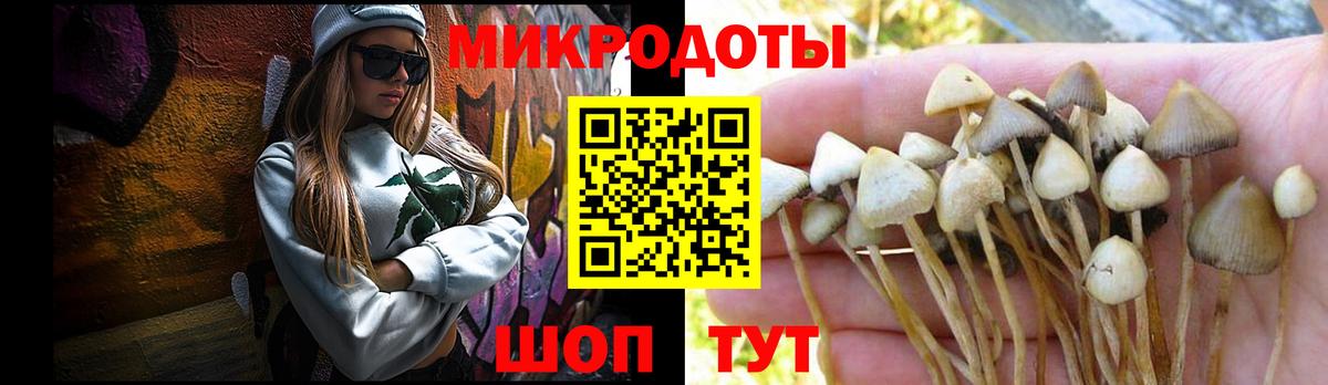 Новотроицк  Галлюциногенные грибы Psilocybe  Вход с VPN 